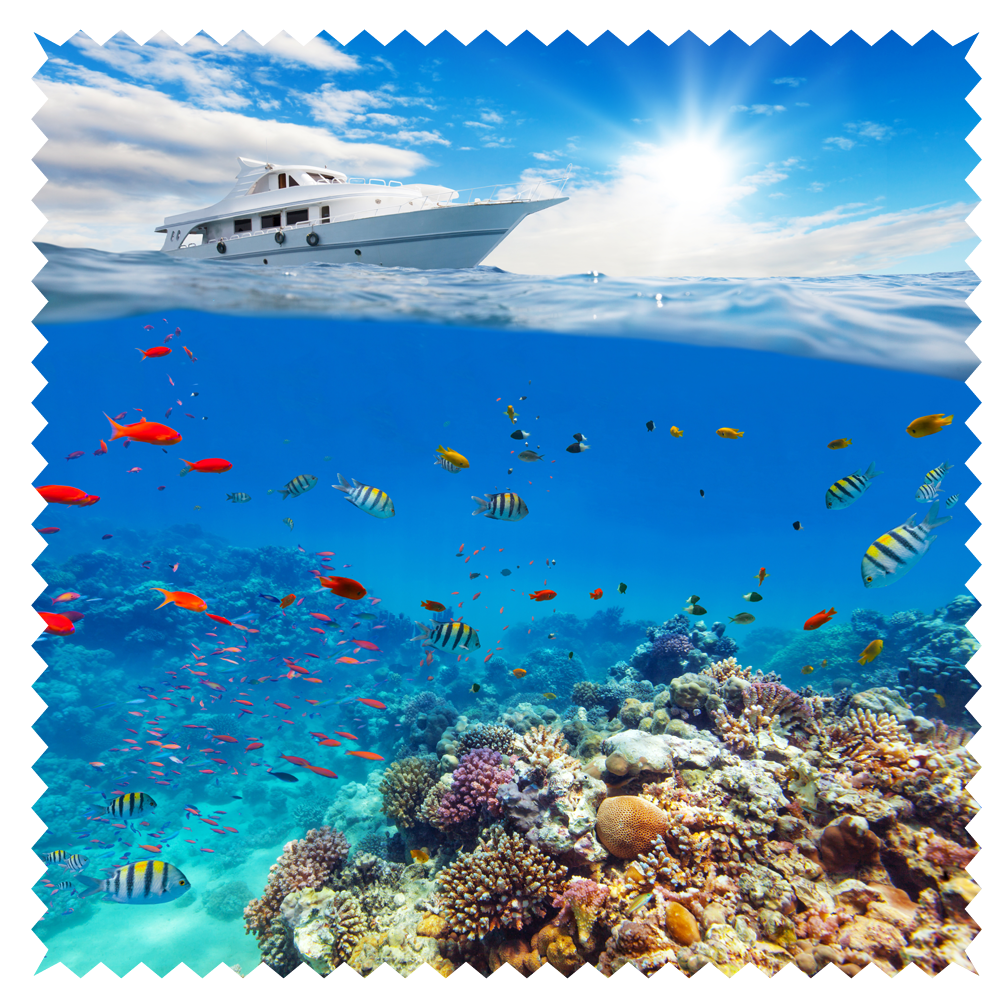 Seas 014 - opticleaner.com